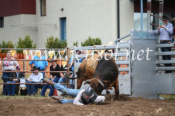 JindabyneRodeo2016-1603