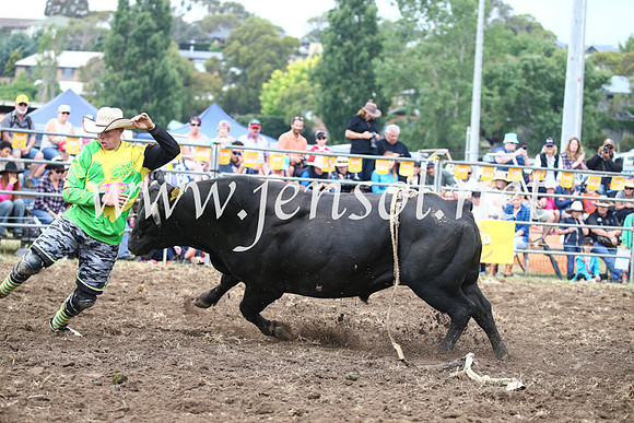 JindabyneRodeo2016-1703