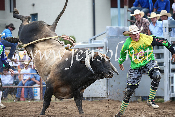 JindabyneRodeo2016_3975