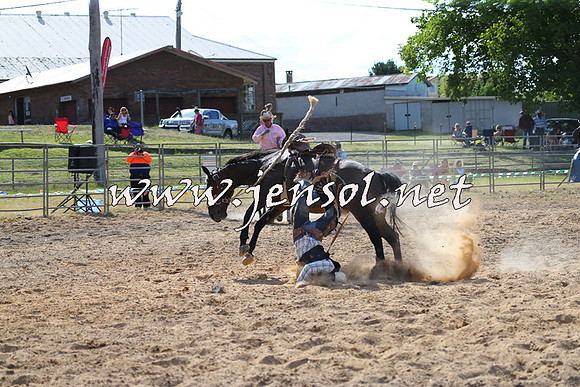 MossVale2015_0284