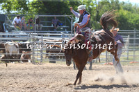 MossVale2015_0128