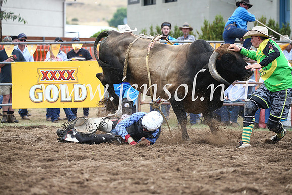 JindabyneRodeo2016_3981