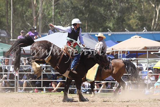 pictonrodeo2013kjs_0278