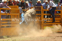 pictonrodeo2013one_0497
