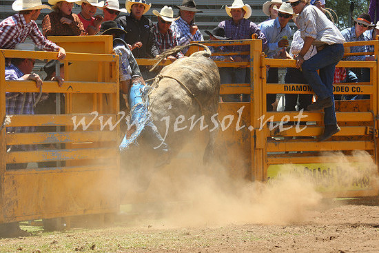 pictonrodeo2013one_0497