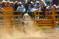 pictonrodeo2013one_0503