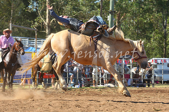 pictonrodeo2013one_0625