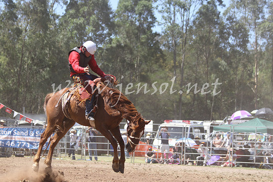 pictonrodeo2013kjs_0304