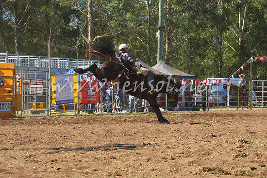 pictonrodeo2013one_0591