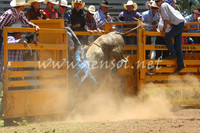 pictonrodeo2013one_0498