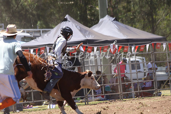 pictonrodeo2013kjs_0020