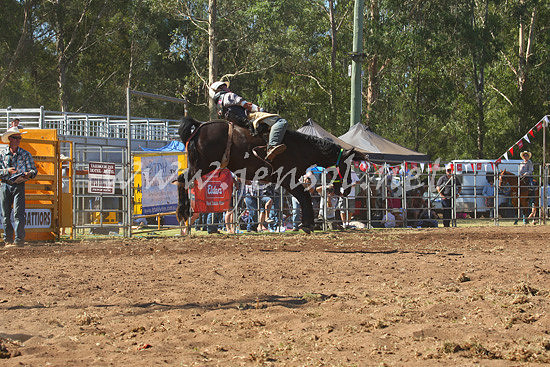 pictonrodeo2013one_0590
