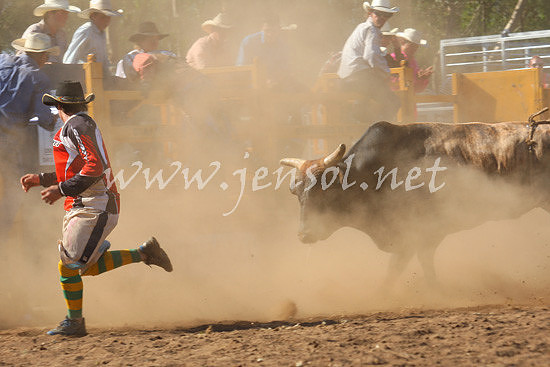 pictonrodeo2013one_0771