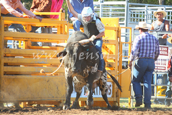 pictonrodeo2013one_0715