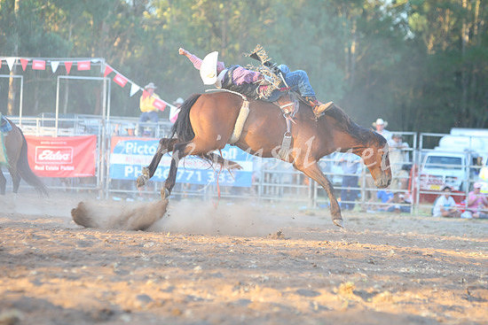 pictonrodeo2013two_0118