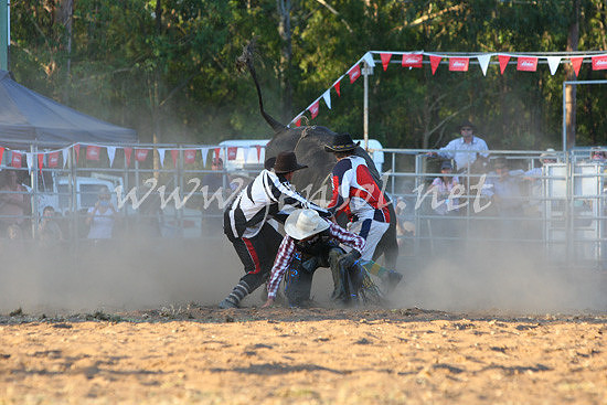 pictonrodeo2013one_1228