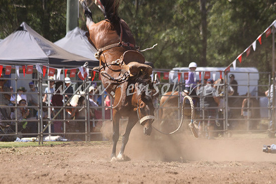 pictonrodeo2013kjs_0291