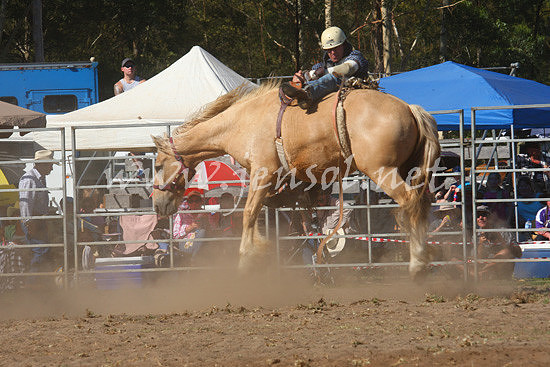pictonrodeo2013one_0650