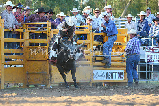 pictonrodeo2013one_1178