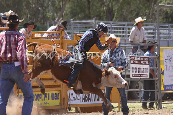pictonrodeo2013kjs_0003
