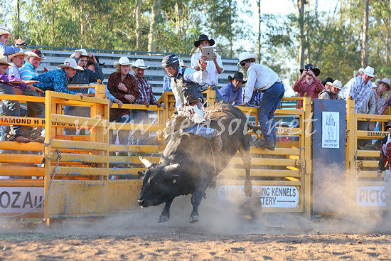 pictonrodeo2013one_1150
