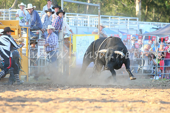 pictonrodeo2013one_1211
