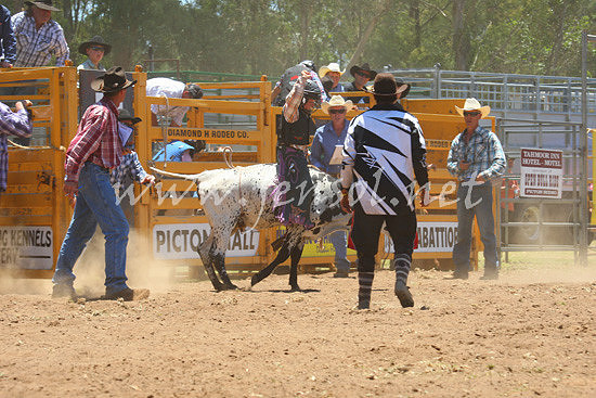 pictonrodeo2013one_0533