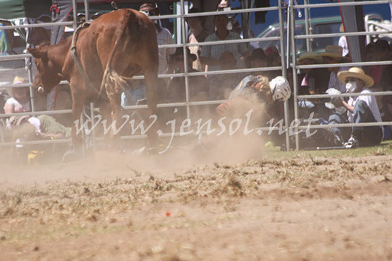 pictonrodeo2013kjs_0217