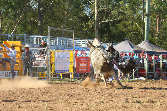 pictonrodeo2013one_0814