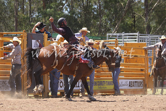 pictonrodeo2013kjs_0286