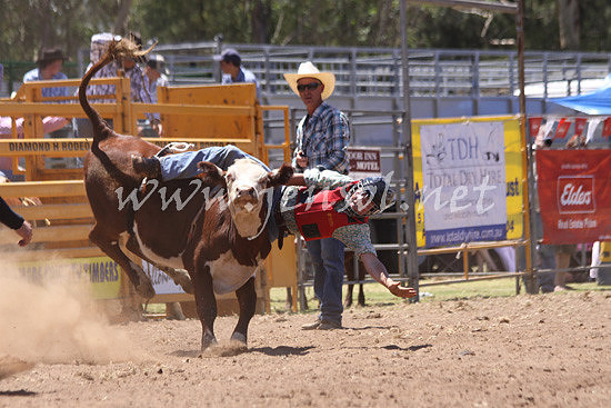 pictonrodeo2013kjs_0001