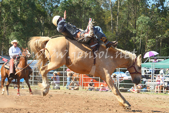 pictonrodeo2013one_0631