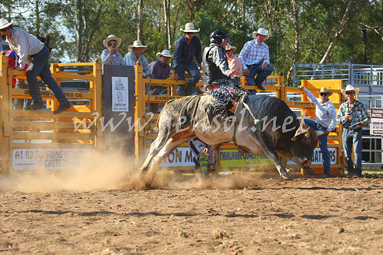 pictonrodeo2013one_0809