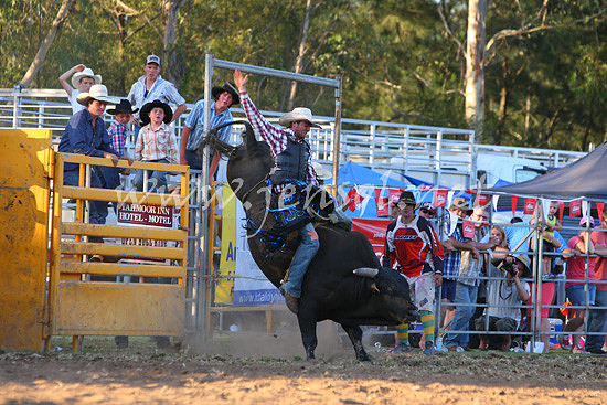 pictonrodeo2013one_1216