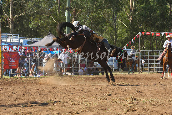 pictonrodeo2013one_0594