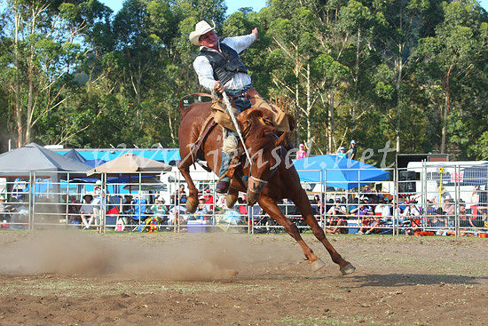 pictonrodeo2013one_0913
