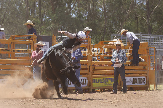 pictonrodeo2013kjs_0139
