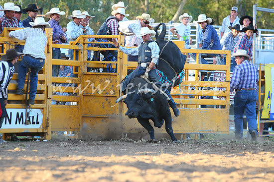 pictonrodeo2013one_1196