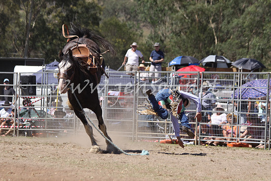 pictonrodeo2013kjs_0284