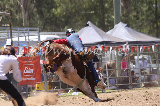 pictonrodeo2013kjs_0015