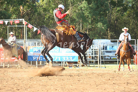pictonrodeo2013one_0849
