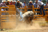 pictonrodeo2013one_0499