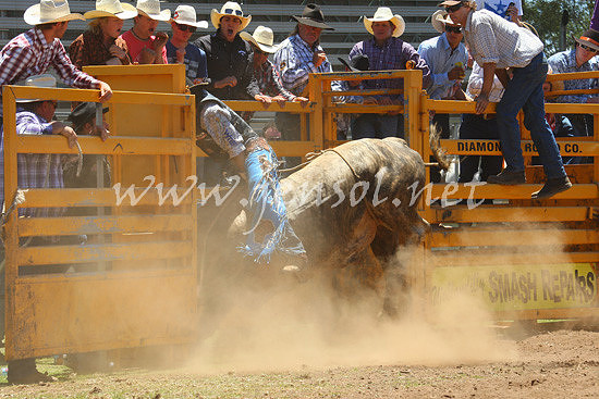 pictonrodeo2013one_0499