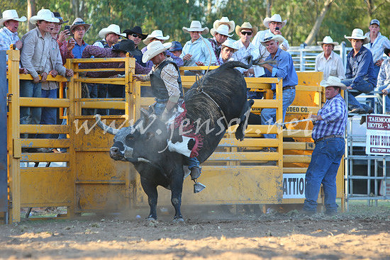 pictonrodeo2013one_1181