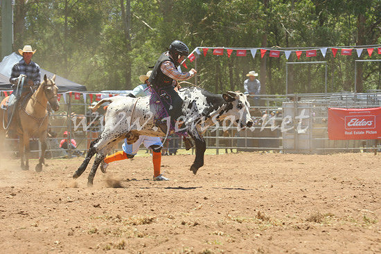 pictonrodeo2013one_0541