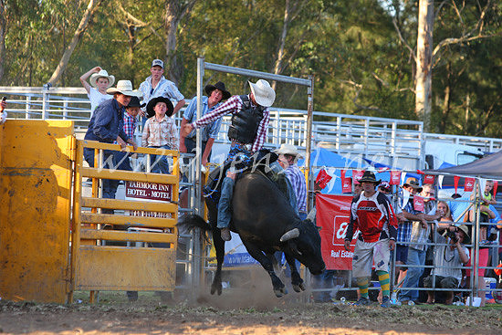 pictonrodeo2013one_1215