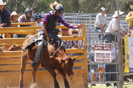 pictonrodeo2013kjs_0169