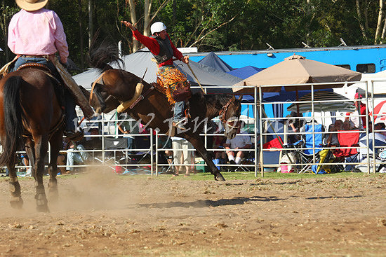 pictonrodeo2013one_0857