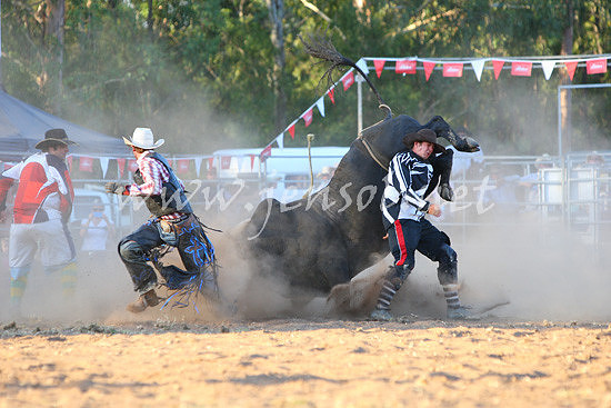 pictonrodeo2013one_1231