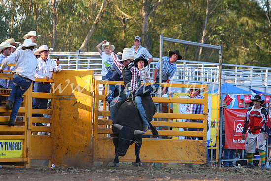 pictonrodeo2013one_1212